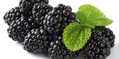 organic-blackberries-whistler-grocery-service-delivery