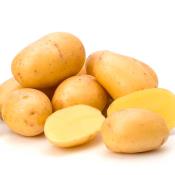 yellow-potatoes-5lb-bag-whistler-grocery-service-delivery