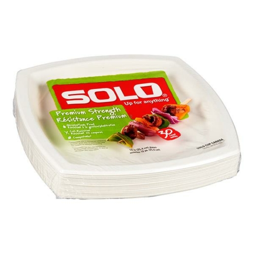 solo-plastic-plate-10-inch-whistler-grocery-service-delivery